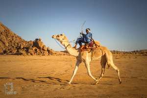 عزيمة الجمال واندفاع الصحراء - احتفالية الجمل (تيوت، تمنراست، ديسمبر 2013)