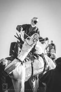 L’harmonie entre l’homme et l’animal - Fête du chameau (Tit, Tamanrasset, Décembre 2013)