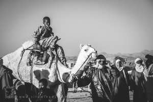 L’héritage familial du désert - Fête du chameau (Tit, Tamanrasset, Décembre 2013)