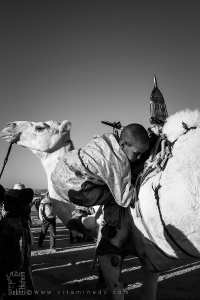 La tendresse du désert - Fête du chameau (Tit, Tamanrasset, Décembre 2013)
