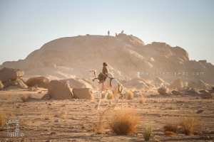 روح الصحراء أمام عظمة الجبل - احتفالية الجمل (تيوت، تمنراست، ديسمبر 2013)