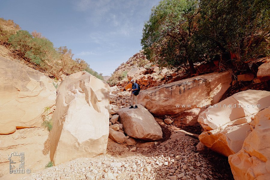 Parc national de Djebel Aïssa (Nâama) : Défis environnementaux
