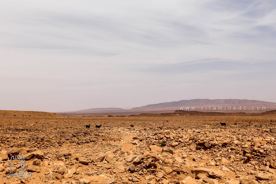 الإدارة المستدامة للمنتزه الوطني لجبل عيسى
