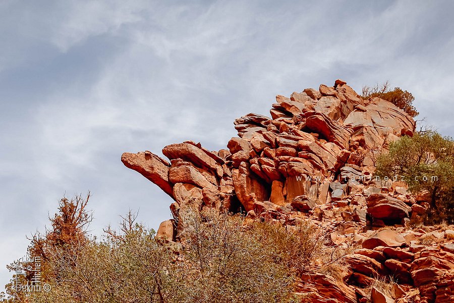 المنتزه الوطني لجبل عيسى: صخرة على شكل سلحفاة