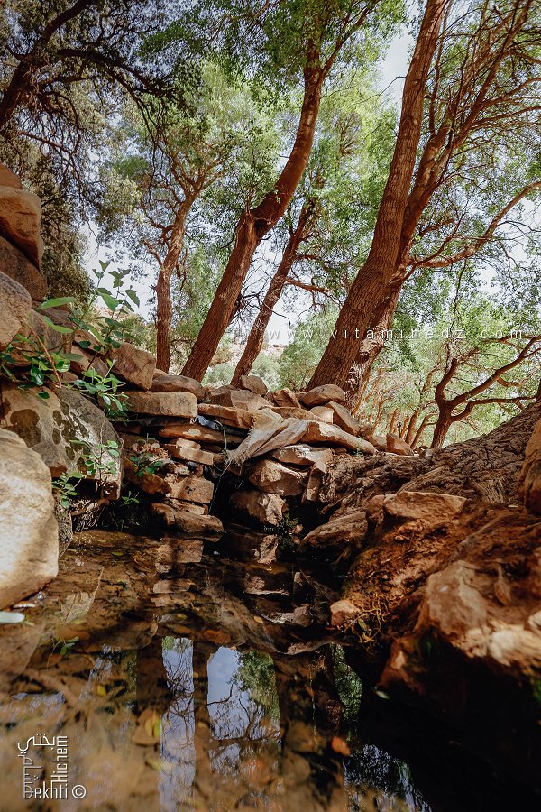 Ain Aissa (source d'eau potable) Parc national de Djebel Aissa