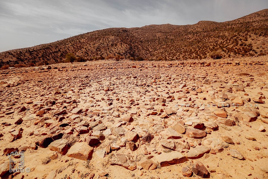 بحوث ودراسات جامعية تستهدف التسيير المستدام للحظيرة