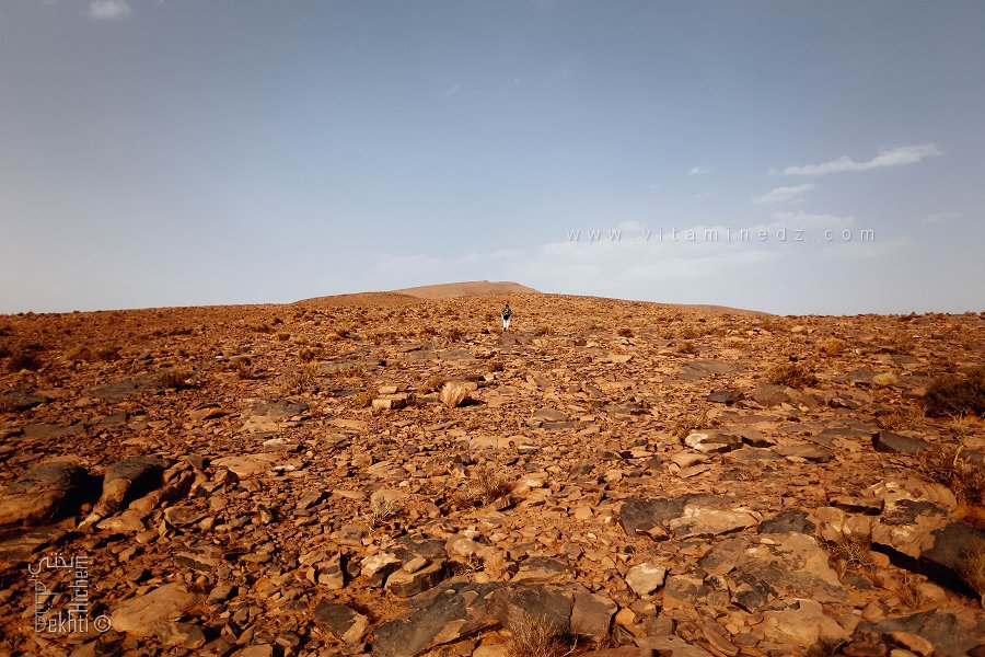 Parc national de Djebel Aïssa, versant ouest, côté Ain Sefra