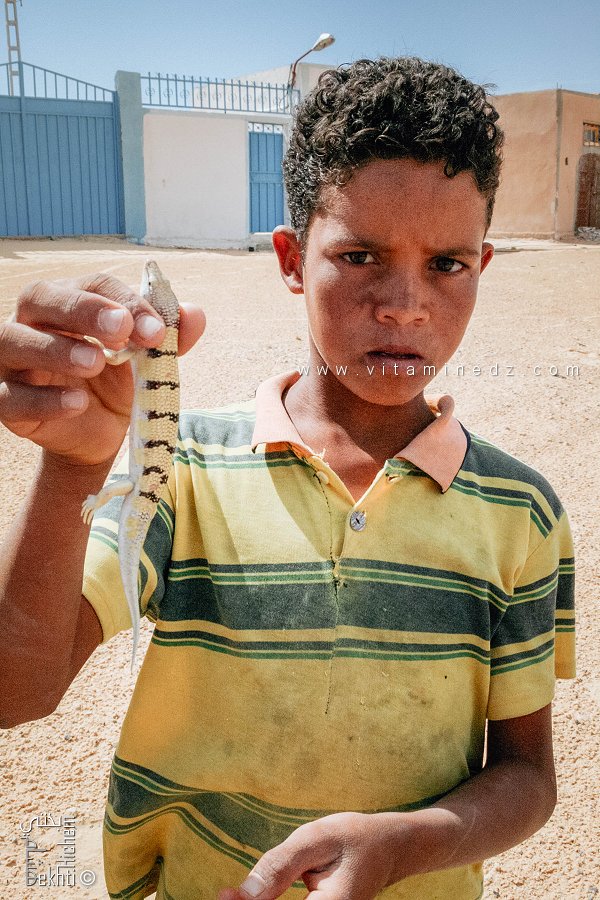 Enfant du Souf tenant un poisson des sables (Cherchmana)