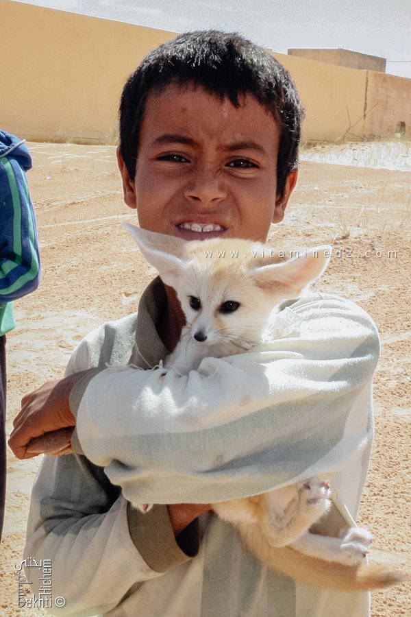 أطفال ديميريني يبيعون ثعالب الفنك