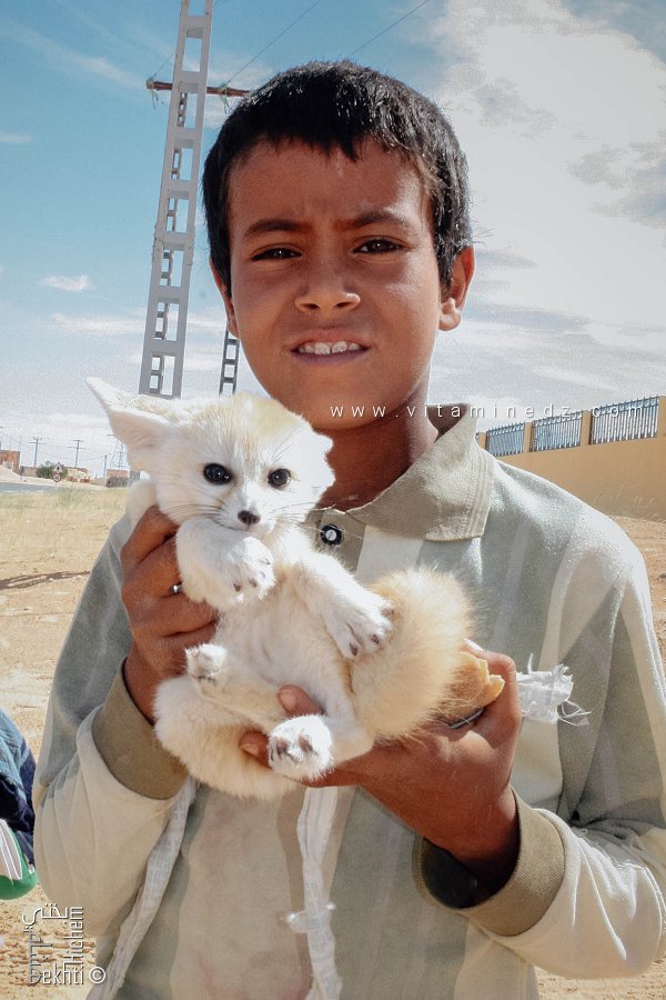 Enfant du Souf tenant un Fennec