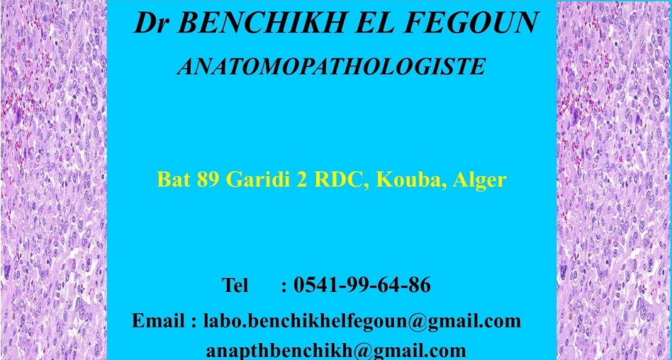 laboratoire benchikh el fegoune