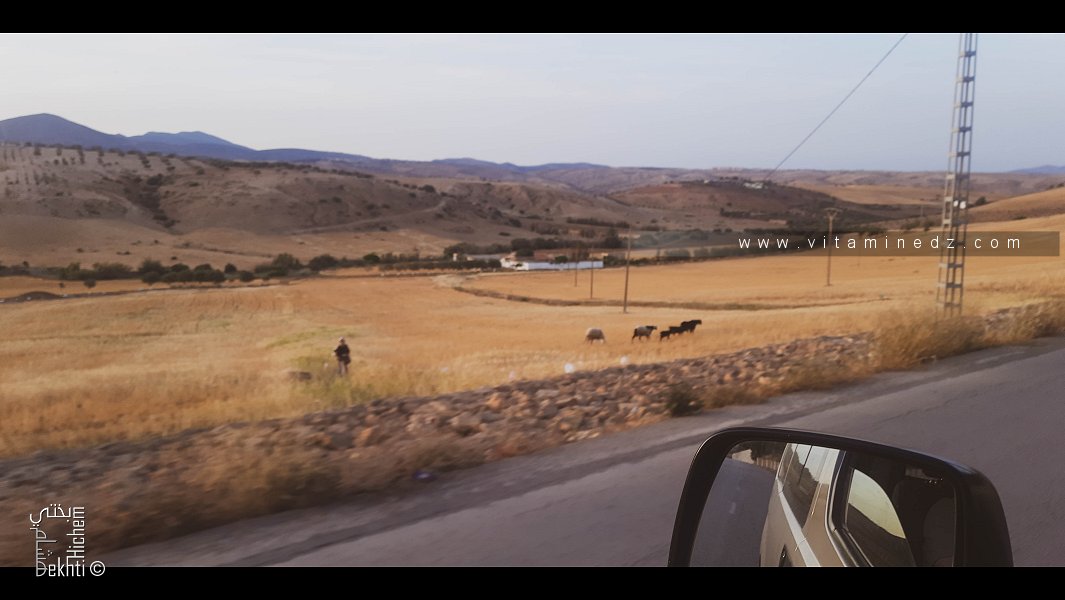 Sur les champs perdus de mes pensées