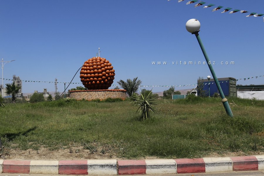 Chlef : La manie des ronds points en Algérie ...