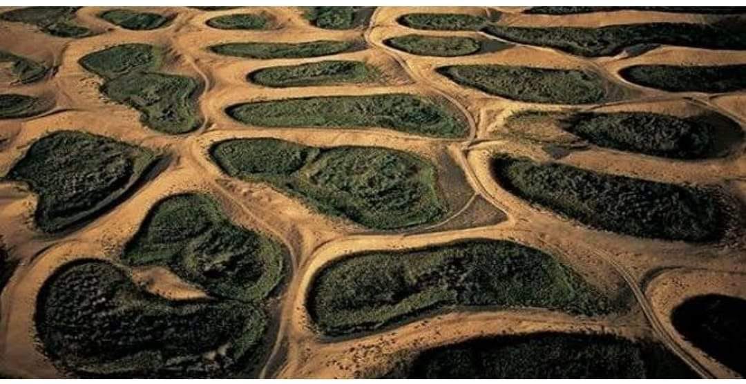 LES GHOUTS D'EL OUES SOUF ALGERIE