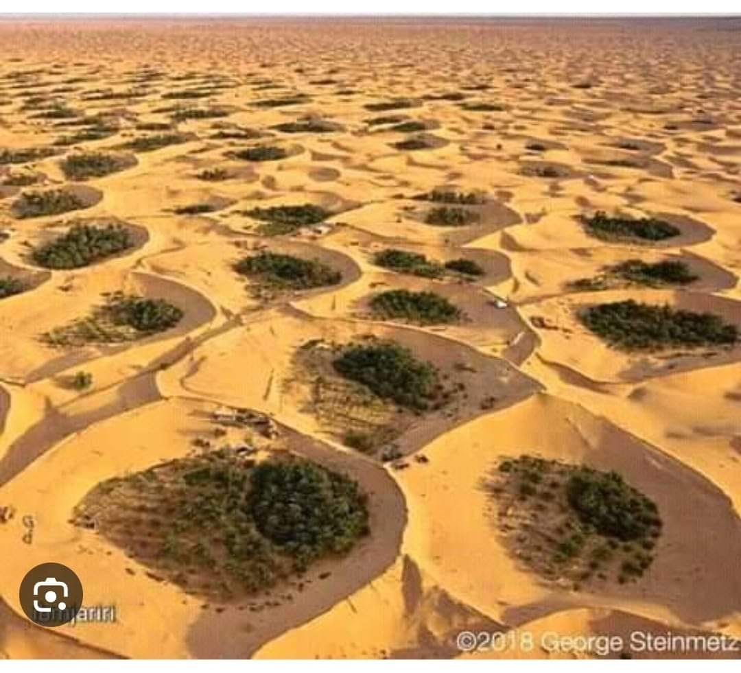 LES GHOUTS D'EL OUES SOUF ALGERIE