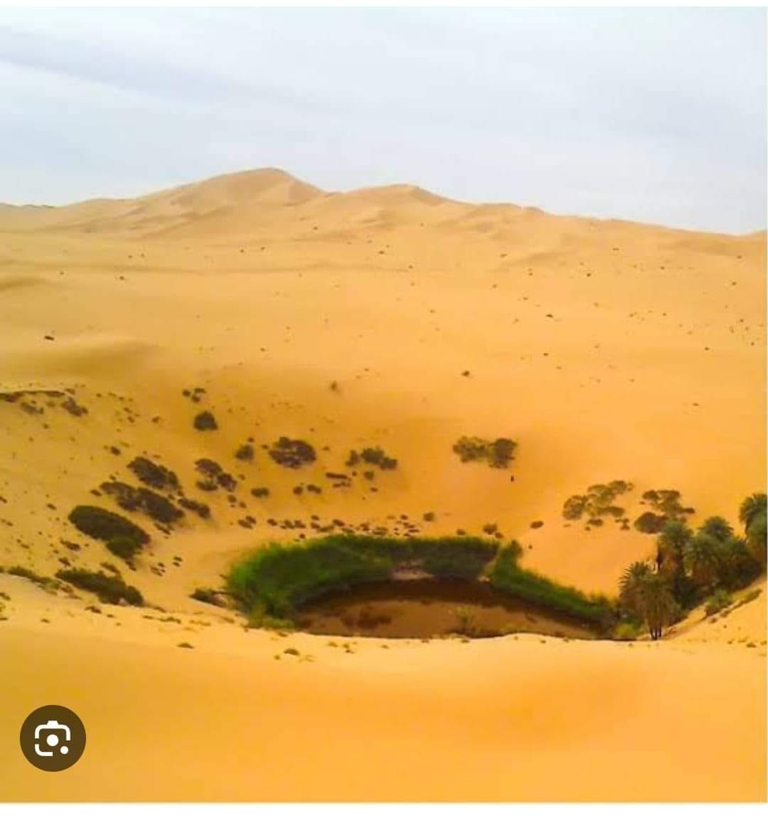 LES GHOUTS D'EL OUES SOUF ALGERIE