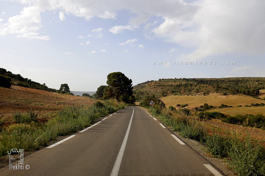 Forêt de Ain El yhoudi, commune de Aouf (Mascara)
