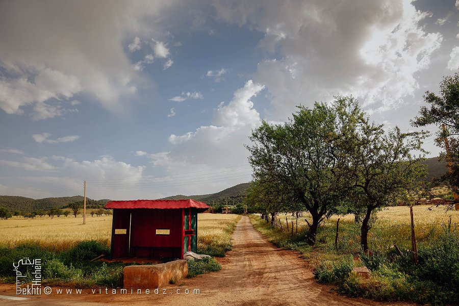 Douar Betaouta دوار بطاوطة (Commune Aouf, Wilaya de Mascara)