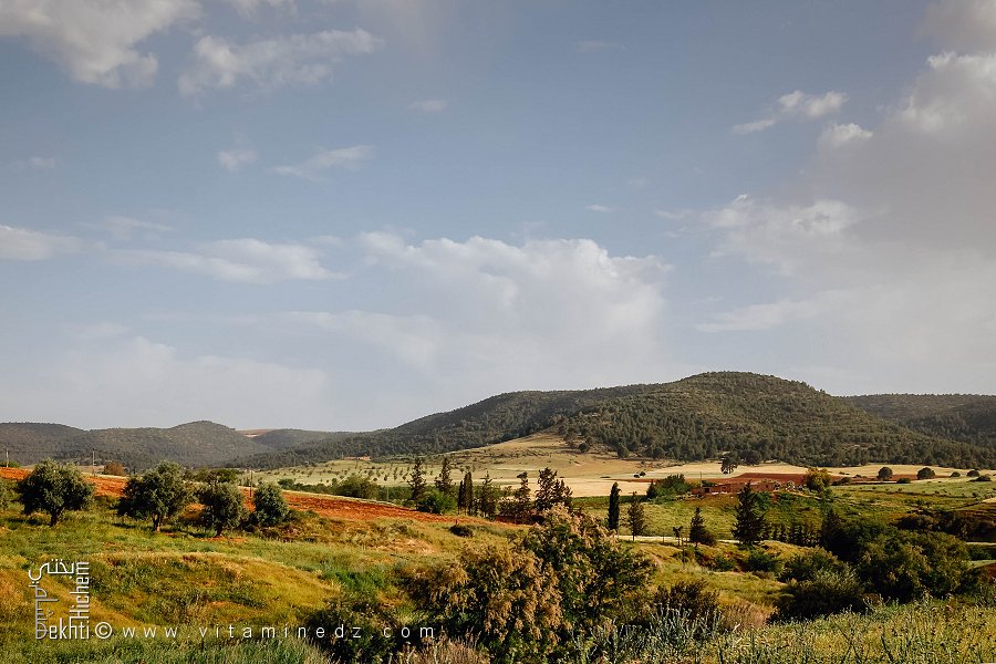 Djbel El Gaadane et Oued Tifrit (Commune Aouf - Mascara)