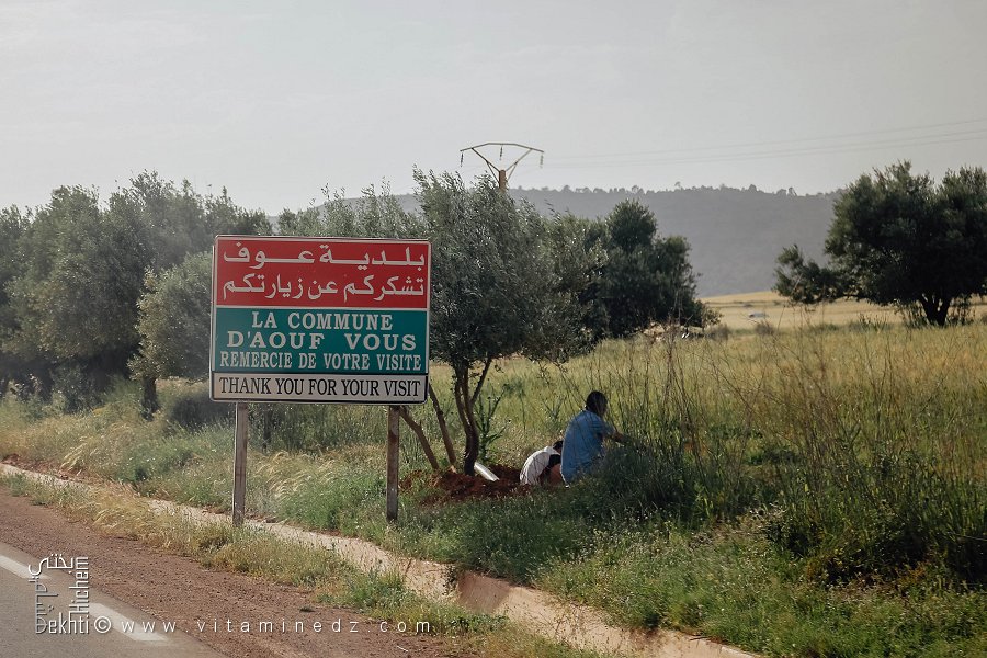 Sortie de la commune de Aouf (Mascara)