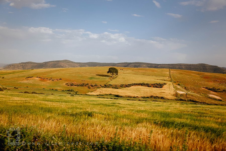 Commune de Beniane (Wilaya de Mascara)