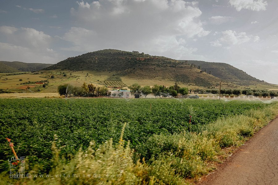Commune de Benian à vocation agro-pastorale