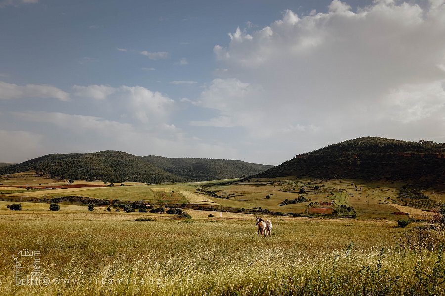 Beniane est une commune de la wilaya de Mascara, en Algérie
