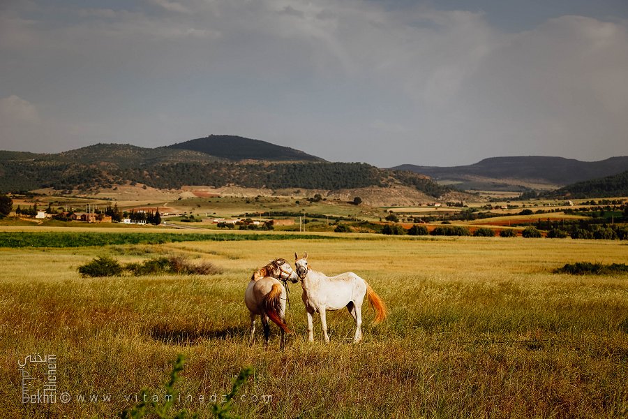 البنيان بلدية من بلديات ولاية معسكر الجزائرية