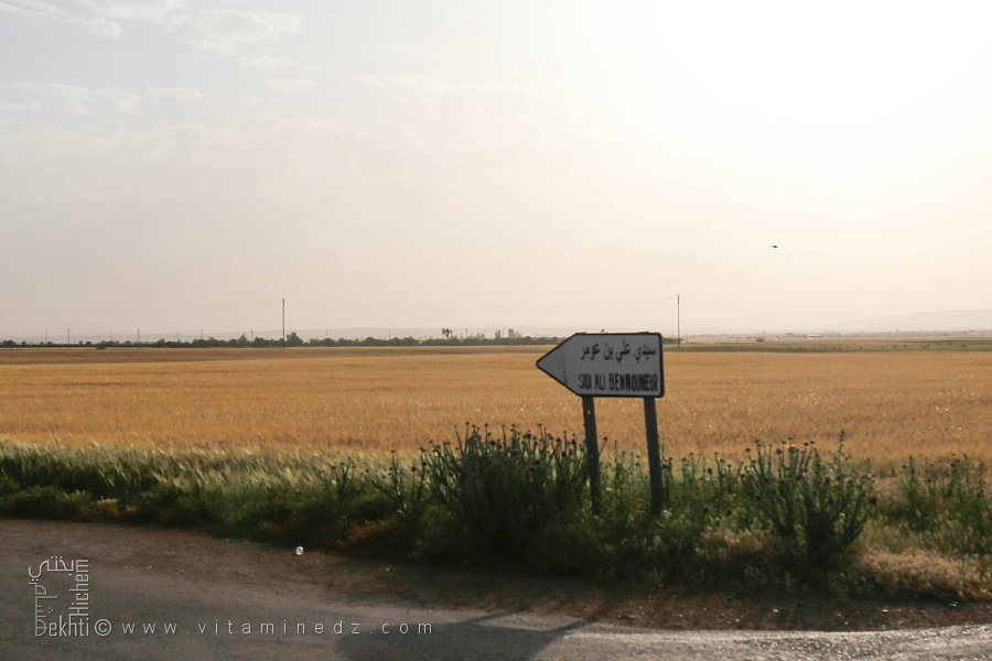 Plaque vers Sidi Ali Benaomar (Commune oued Taria, Mascara)