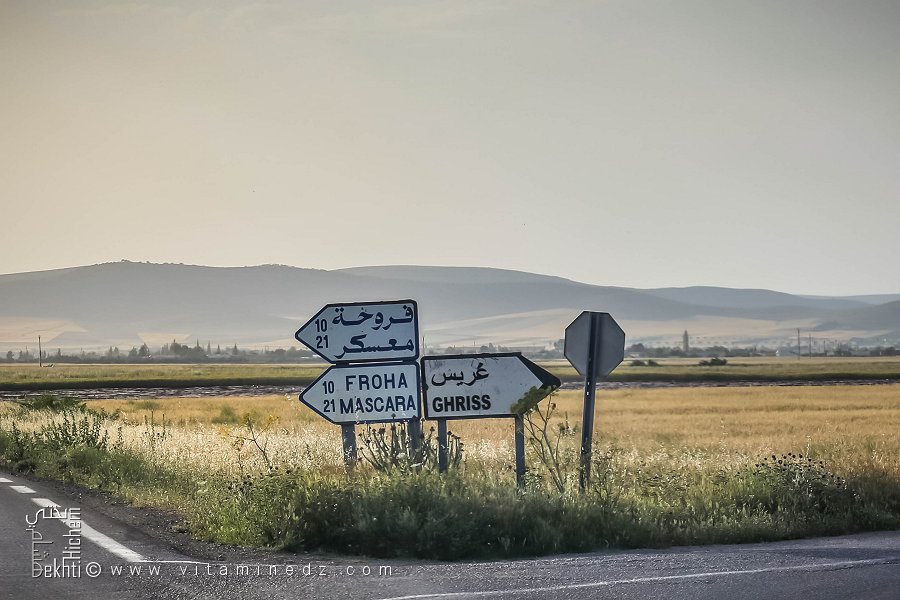 Plaine de Ghriss (Mascara)