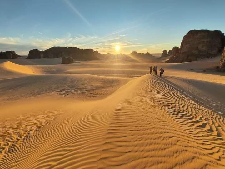 𝗧𝗮𝗱𝗿𝗮𝗿𝘁