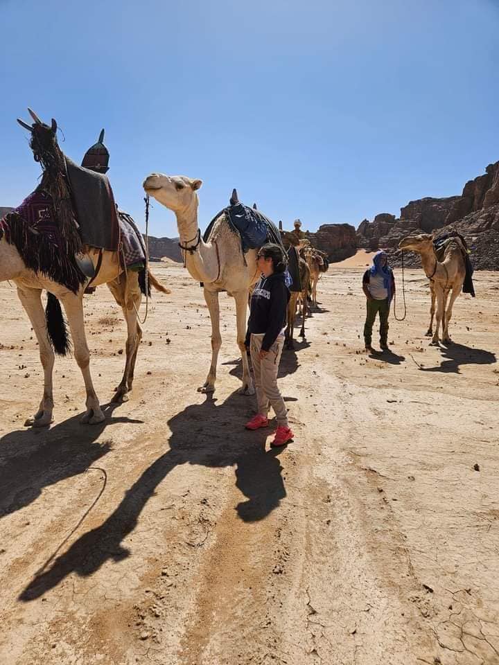 𝗧𝗮𝗱𝗿𝗮𝗿𝘁