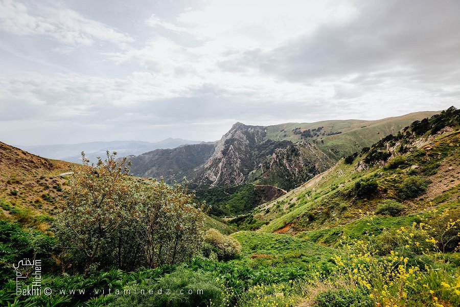 Parc National du Djurdjura depuis Azro Nthor