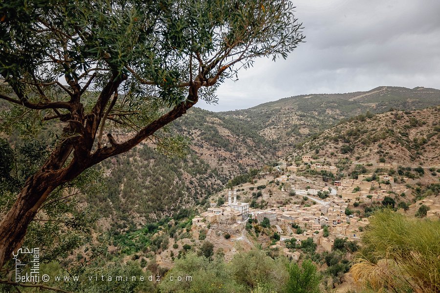 القرية التاريخية القليعة