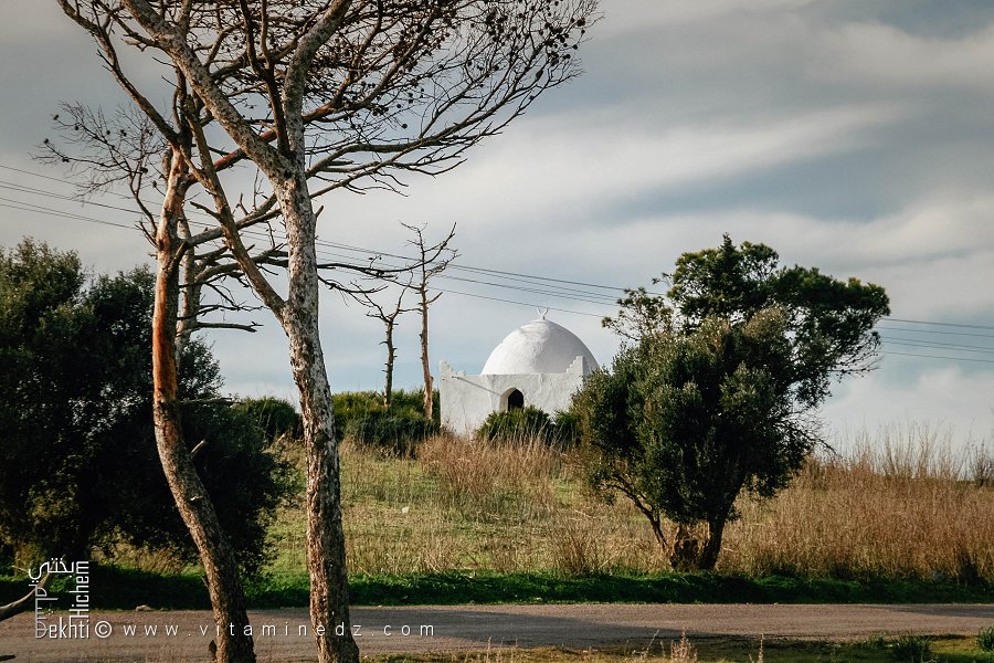 سيدي بوطرباڨ (عين الكرمة - وهران)