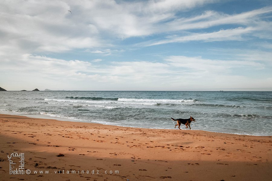 Cap Blanc : Le Refuge Sauvage des Amoureux de la Sérénité