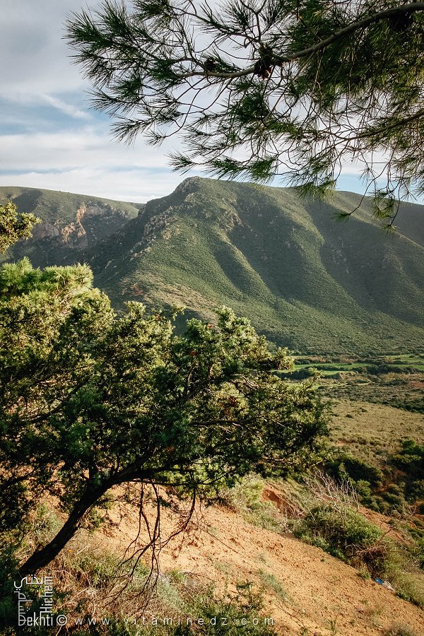Région montagneuse de Madagh