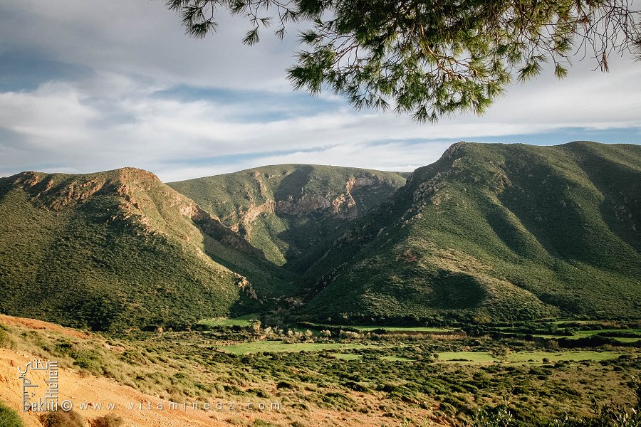 Djbel Hammar Ezzenine (Madagh)