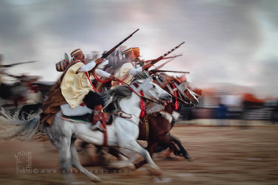 Les chevaux s'élancent avec force, symbolisant la bravoure et l'honneur lors de la Waada de Tamesna.