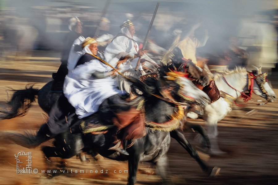 Le cheval pur-sang, symbole de noblesse - Waada de Tamesna (Commune El Hassasna, Wilaya de Saida) Mai 2015
