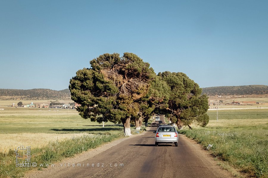 Entrée du village de Tamesna, commune de Hessasna, wilaya de Saïda.