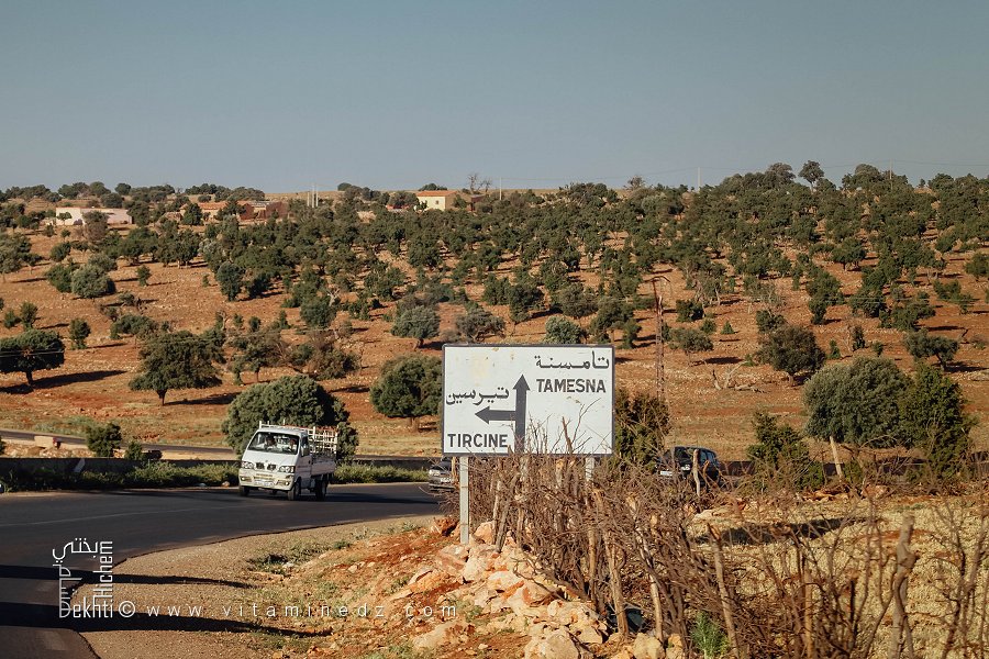 Vers le village de Tamesna et Tircine  commune de Hessasna, wilaya de Saïda