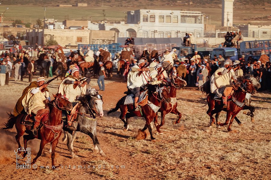 الخيول العربية الأصيلة في وعدة تامسنا - وعدة تامسنا (بلدية الحساسنة، ولاية سعيدة) ماي 2015