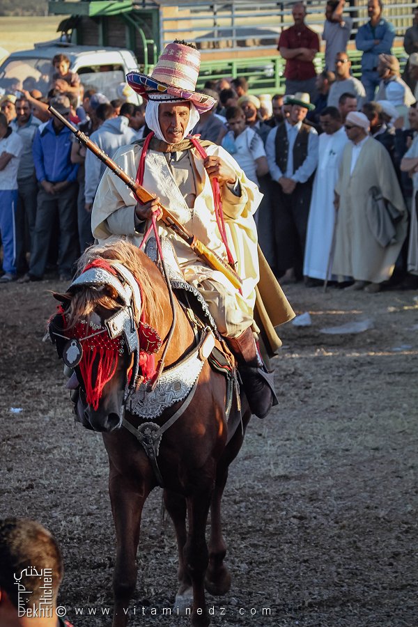 فارس ذو خبرة طويلة في وعدة تامسنة (بلدية الحساسنة، ولاية سعيدة) ماي 2015