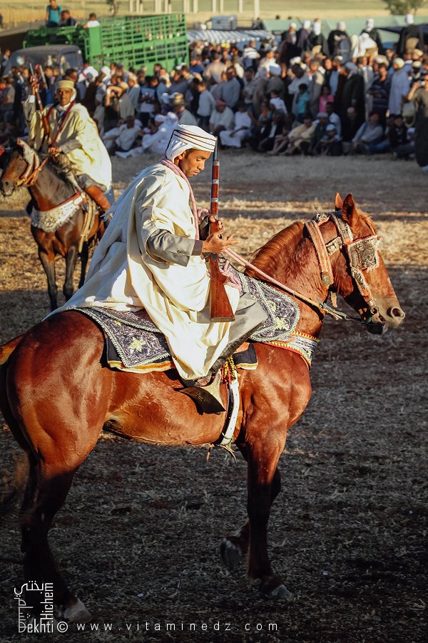 فارس متمرس في وعدة تامسنة (بلدية الحساسنة، ولاية سعيدة) ماي 2015