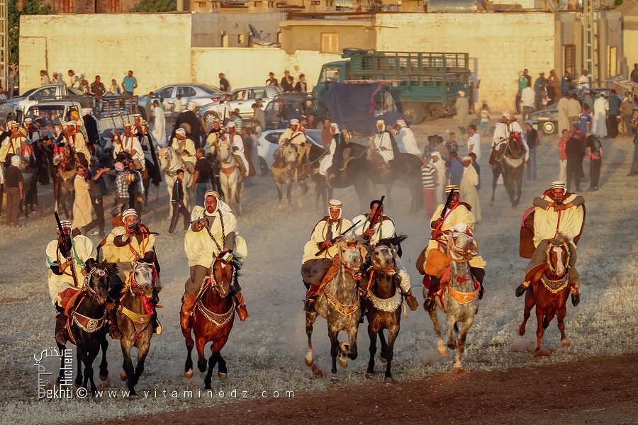 Cavaliers et chevaux au repos avant la prochaine démonstration de fantasia à la Waada de Tamesna (Commune El Hassasna, Wilaya de Saida) Mai 2015