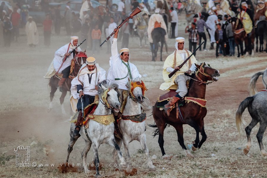 Le cheval bardé prêt pour la Waada de Tamesna (Commune El Hassasna, Wilaya de Saida) Mai 2015