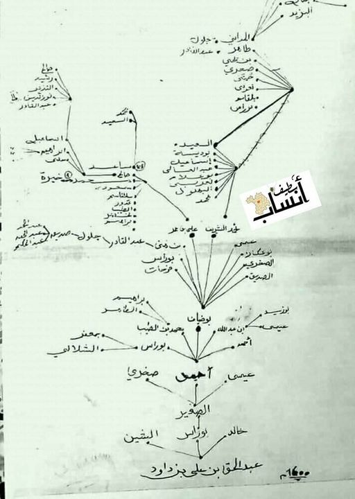 شجرة عائلة #بوضياف من سنة 1600