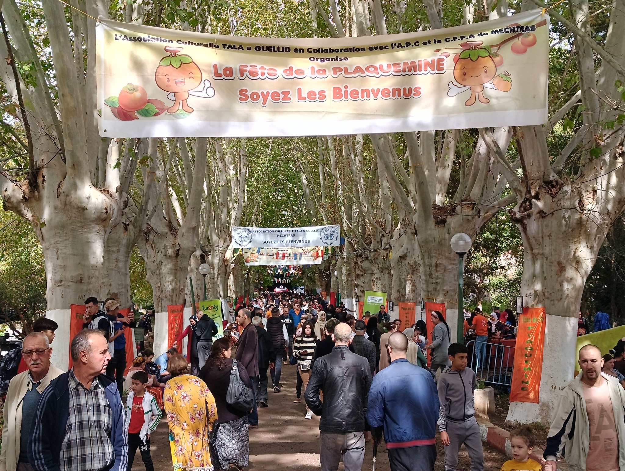 Fête de la plaquemine à Mechtras