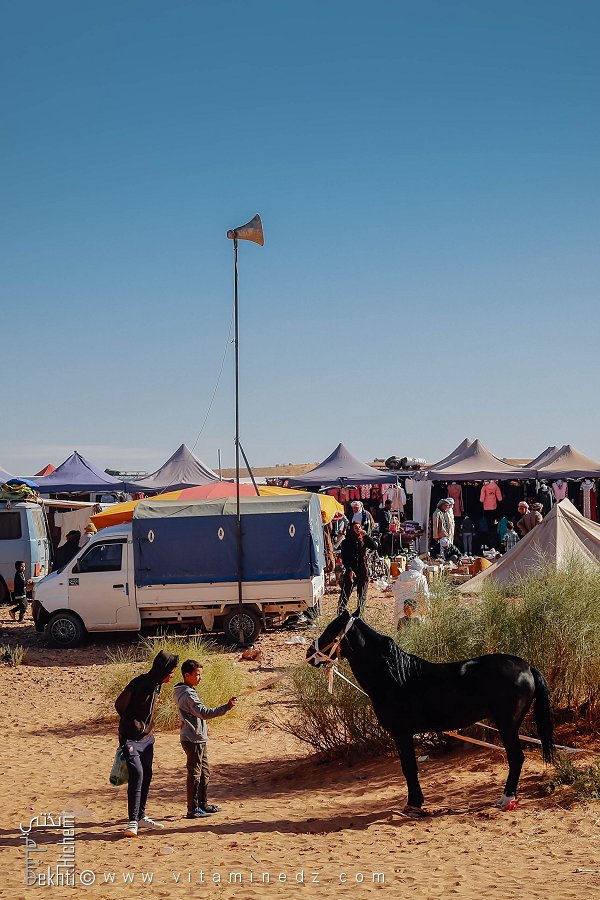 L'animation du marché : enfants et chevaux